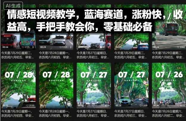 情感短视频教学，蓝海赛道，涨粉快，收益高，手把手教会你，零基础必备-财兔窝项目网