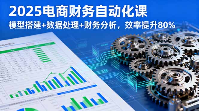 2025电商财务自动化课，模型搭建+数据处理+财务分析，效率提升80%-财兔窝项目网