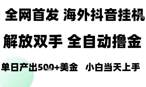 海外抖音无人直播，单日产出1.5k+，长期稳定，新手可玩，无脑操作【揭秘】-财兔窝项目网