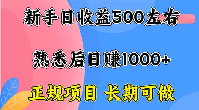 新手日收益500+ 正规项目 长期可做-财兔窝项目网