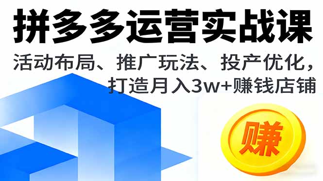拼多多运营实战课，活动布局、推广玩法、投产优化，打造月入3w+赚钱店铺-财兔窝项目网