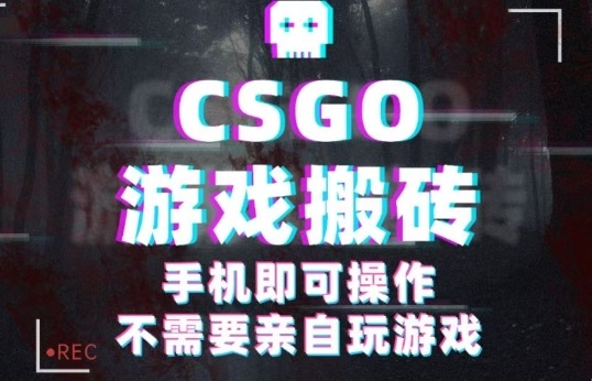 CSGO游戏挂G捡漏，单日扫货5张+，年底小高峰上车可吃肉，手机即可操作，兼职副业创业网创【揭秘】-财兔窝项目网