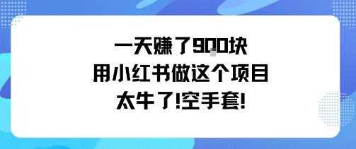 一天挣了9张用小红书做这个项目太牛了，空手套-财兔窝项目网