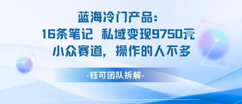 蓝海项目：16条笔记私域变现9750米小众赛道操作的人不多-财兔窝项目网