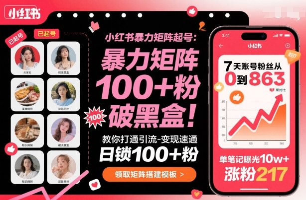 小红书暴力矩阵起号，教你打通引流-变现速通，日锁100+粉，破流量黑盒-财兔窝项目网