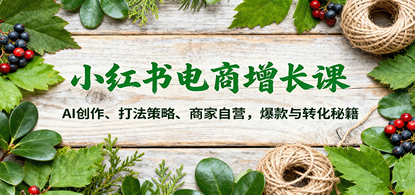 小红书电商增长课：AI创作、打法策略、商家自营，爆款与转化秘籍-财兔窝项目网
