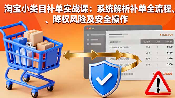 淘宝小类目补单实战课：系统解析补单全流程、降权风险及安全操作-财兔窝项目网