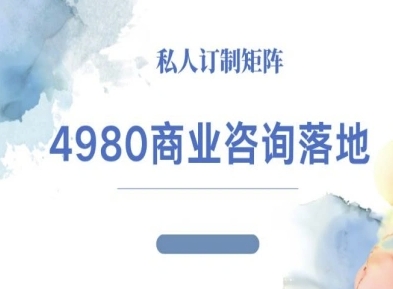 4980商业咨询师落地课程-ip运营高客单教程-财兔窝项目网