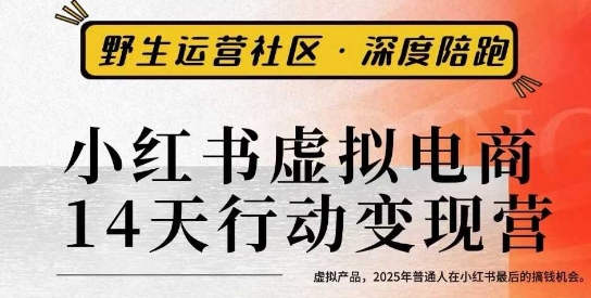 小红书虚拟电商14天变现训练营3.0，​虚拟产品，2025年普通人在小红书最后的搞钱机会-财兔窝项目网