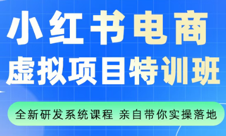 陆明明·小红书虚拟项目特训班(更新9月)-财兔窝项目网