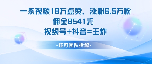 一条视频18W点赞，涨粉6.5W粉佣金8541米，视频号+抖音=王炸-财兔窝项目网