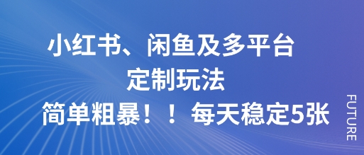 小红书、闲鱼及多平台定制玩法简单粗暴！每天稳定5张-财兔窝项目网