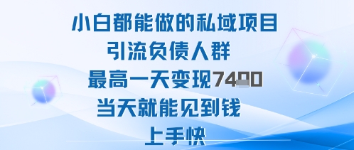 2025年小白都能做的私域项目引流负债人群最高一天变现1k+高变现难度低当天就能见到钱上手快-财兔窝项目网