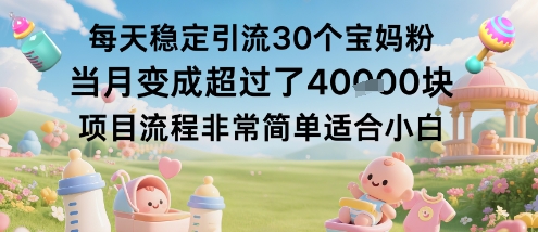 每天稳定引流30个宝妈粉当月变成超过了1W+项目流程非常简单适合小白-财兔窝项目网