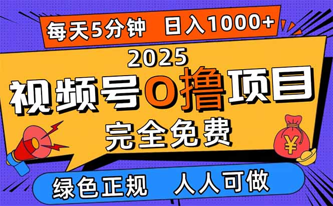 2025视频号0撸项目，5分钟一个号，日入1000+，人人可做-财兔窝项目网