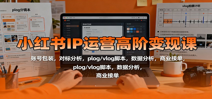 小红书IP运营高阶变现课：账号包装，对标分析，plog/vlog脚本，数据分析，商业接单-财兔窝项目网