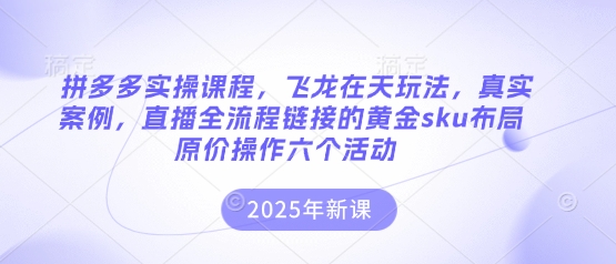 拼多多实操课程，飞龙在天玩法，真实案例，直播全流程链接的黄金sku布局原价操作六个活动-财兔窝项目网