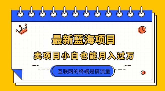 2025年最新蓝海项目，卖项目小白也能月入过万-财兔窝项目网