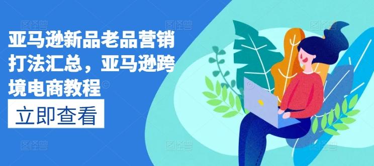 亚马逊新品老品营销打法汇总，亚马逊跨境电商教程-财兔窝项目网