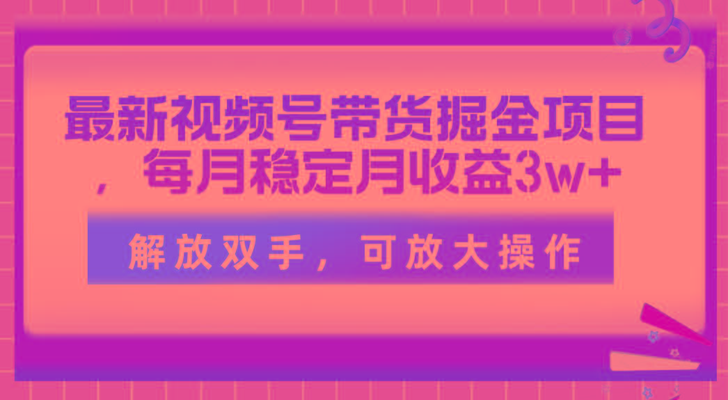 最新视频号带货掘金项目，每月稳定月收益3w+，解放双手，可放大操作-财兔窝项目网
