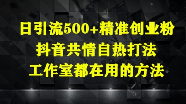 日引流500+精准创业粉，抖音共情自热打法，工作室都在用的方法-财兔窝项目网