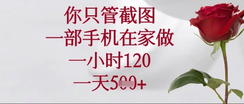 你只管截图，一部手机在家操作，一小时120.一天5张【揭秘】-财兔窝项目网
