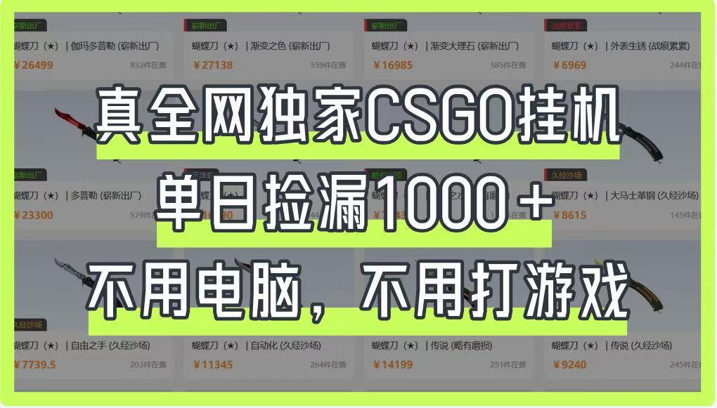 真全网独家CSGO挂机，单日捡漏1000+，不用电脑，不用养号-财兔窝项目网