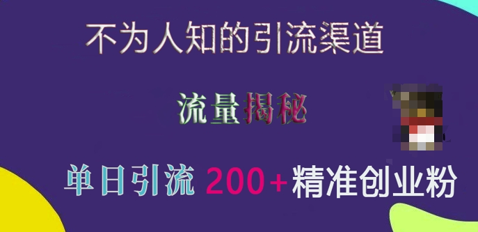 不为人知的引流渠道，流量揭秘，实测单日引流200+精准创业粉【揭秘】-财兔窝项目网