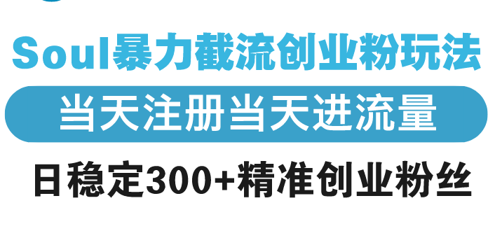 Soul暴力截流创业粉玩法，当天注册当天进流量，日稳定300+精准创业粉丝-财兔窝项目网