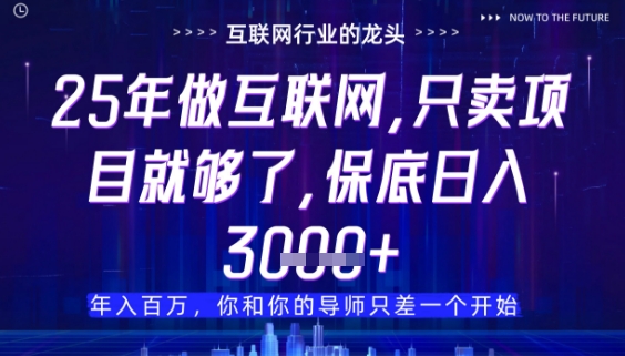 什么！25年你还在找项目做？风口早就变了，卖项目才是稳挣不赔【揭秘】-财兔窝项目网