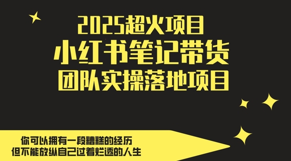 2025超火项目，副业最佳选择，小红书笔记带货团队实操落地项目，，轻松日入5张-财兔窝项目网