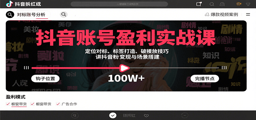 抖音账号盈利实战课，定位对标、标签打造、破播放技巧，讲涨粉变现与场景搭建-财兔窝项目网