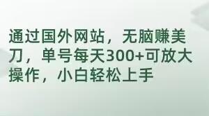 通过国外网站，无脑赚美刀，单号每天300+可放大操作，小白轻松上手【揭秘】-财兔窝项目网