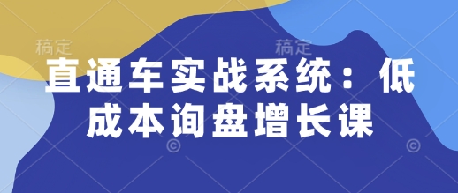 直通车实战系统：低成本询盘增长课，让个人通过技能实现升职加薪，让企业低成本获客，订单源源不断-财兔窝项目网