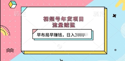 视频号年货项目，流量贼猛，早布局早挣钱，日入上k【揭秘】-财兔窝项目网