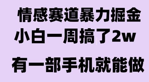 情感暴力掘金项目，新人操作一周挣了2W，长期稳定小白可做【揭秘】-财兔窝项目网