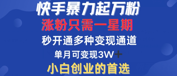 快手暴力起万粉，涨粉只需一星期，多种变现模式，直接秒开万合，单月变现过W【揭秘】-财兔窝项目网