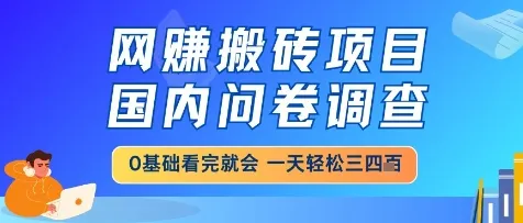 网创搬砖项目，国内问卷调查，小白轻松上手，一天三四张的也不难，干就完了【揭秘】-财兔窝项目网