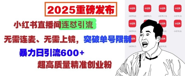 2025重磅发布：小红书直播间连怼引流，无需连麦、无需上镜，突破单号限制，暴力日引流600+-财兔窝项目网