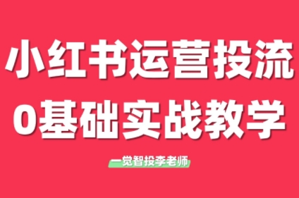 李老师·小红书运营投流，0基础实战教学(更新)-财兔窝项目网