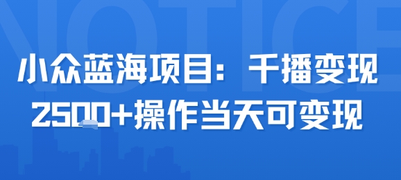 小众蓝海项目，千播变现2.5k+操作当天可变现-财兔窝项目网