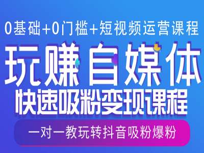0基础+0门槛+短视频运营课程，玩赚自媒体快速吸粉变现课程，一对一教玩转抖音吸粉爆粉-财兔窝项目网