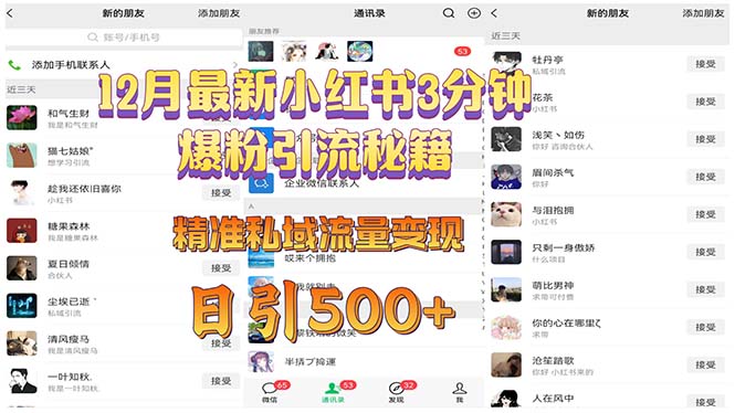 12月最新小红书3分钟爆粉引流秘籍 精准私域流量变现 日引500+-财兔窝项目网