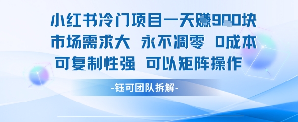 小红书冷门项目一天收益9张，市场需求大，0成本，可复制性强可以矩阵操作-财兔窝项目网