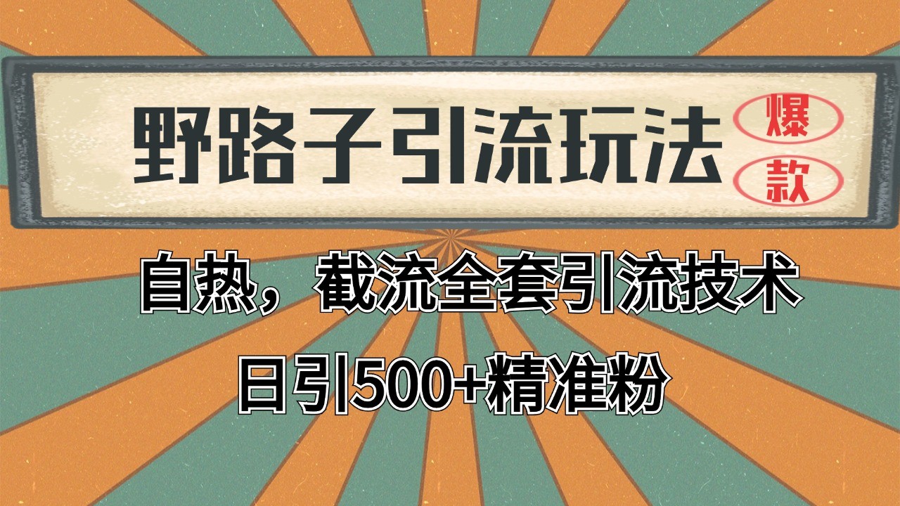 抖音小红书视频号全平台引流打法，全自动引流日引2000+精准客户-财兔窝项目网