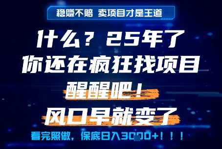 什么？25年你还在疯狂找项目做，醒醒吧，看完这些你全都懂了！【揭秘】-财兔窝项目网