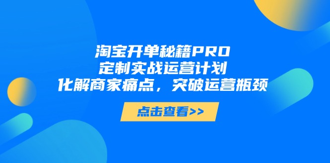 淘宝开单秘籍PRO，定制实战运营计划，化解商家痛点，突破运营瓶颈-财兔窝项目网