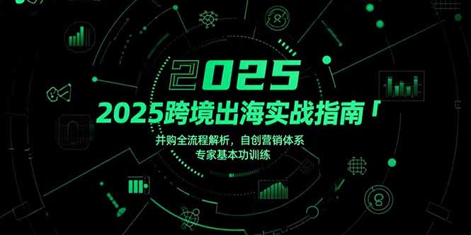 2025跨境出海实战指南，并购全流程解析，自创营销体系，专家基本功训练-财兔窝项目网