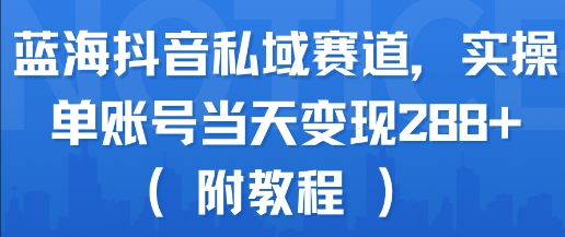 蓝海抖音私域赛道，实操单账号当天变现288+(附教程)-财兔窝项目网