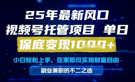 25年最新风口，视频号托管项目，单日保底变现1k+，手把手教学【揭秘】-财兔窝项目网